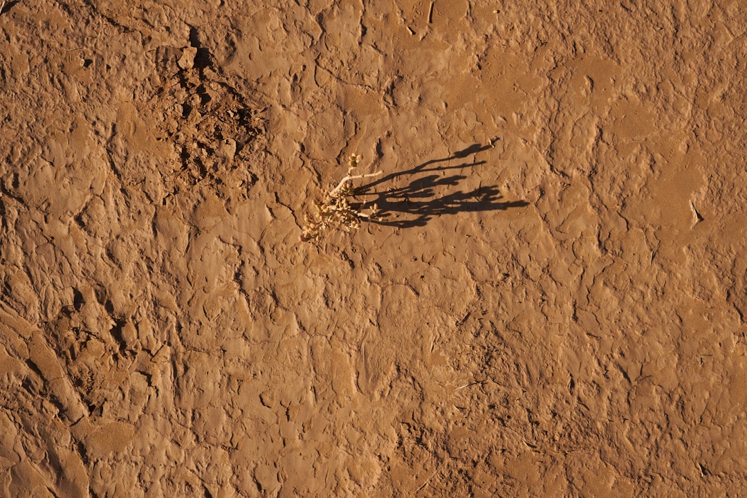 Le rover Curiosity de la NASA : sa foreuse à nouveau bloquée sur Mars