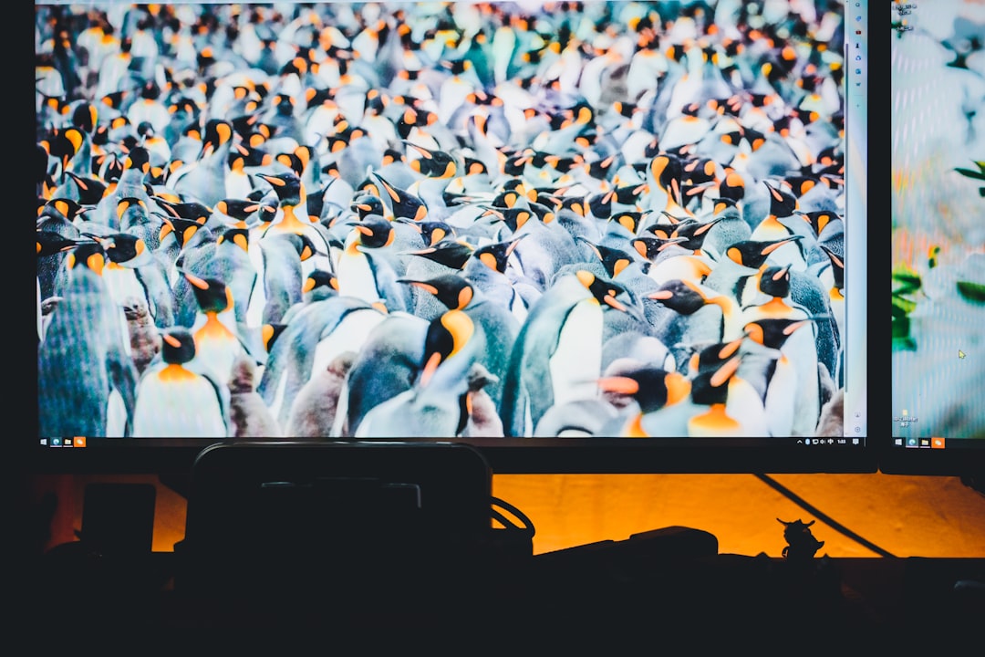 OLED et QLED à prix cassés : L&rsquo;élite de l&rsquo;image enfin accessible ?